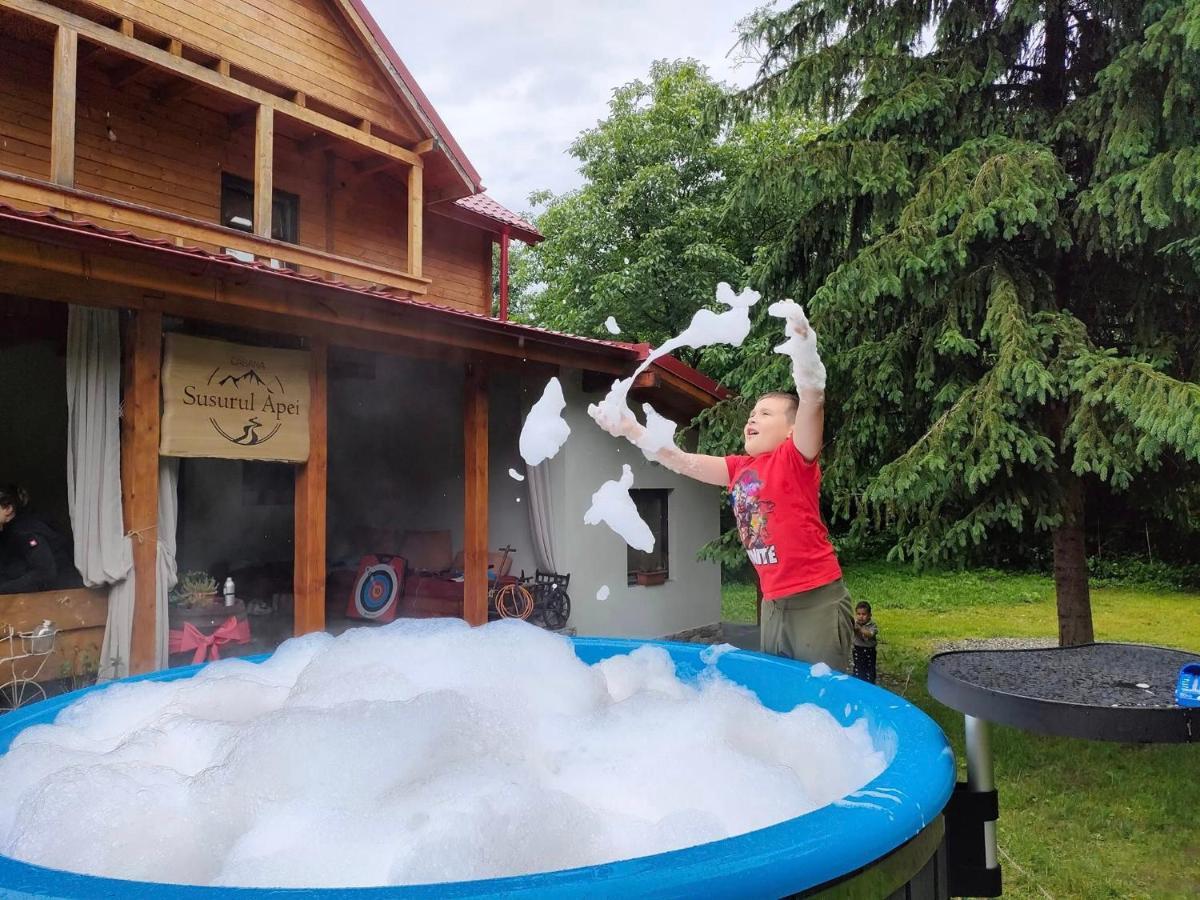 Susurul Apei Chalet Porumbacu de Sus Eksteriør bilde