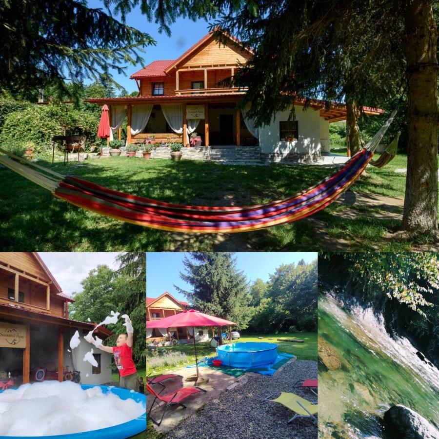 Susurul Apei Chalet Porumbacu de Sus Eksteriør bilde
