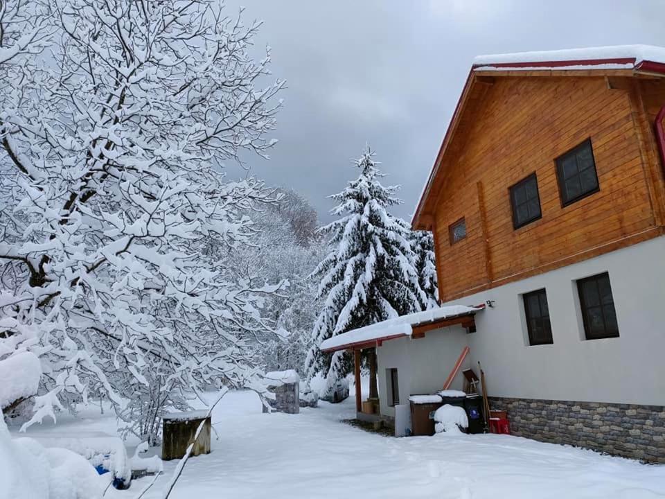 Susurul Apei Chalet Porumbacu de Sus Eksteriør bilde